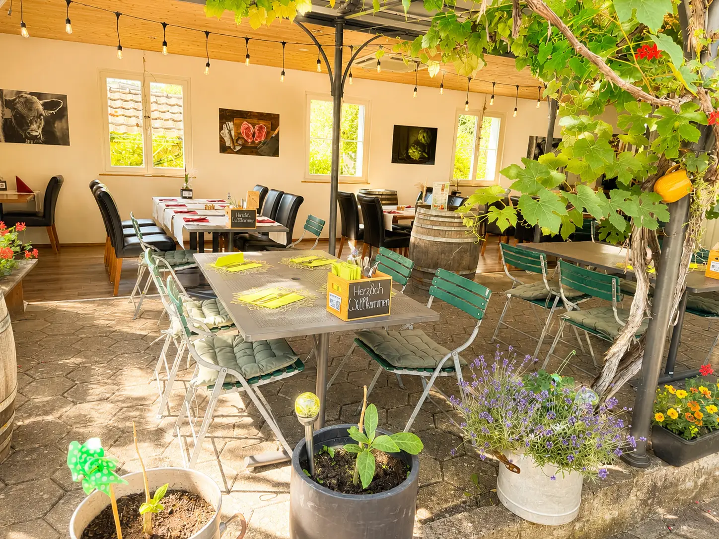 Gartenterrasse mit Weinrebe und Willkommensschild im Restaurant Stadtgarten Wangen an der Aare