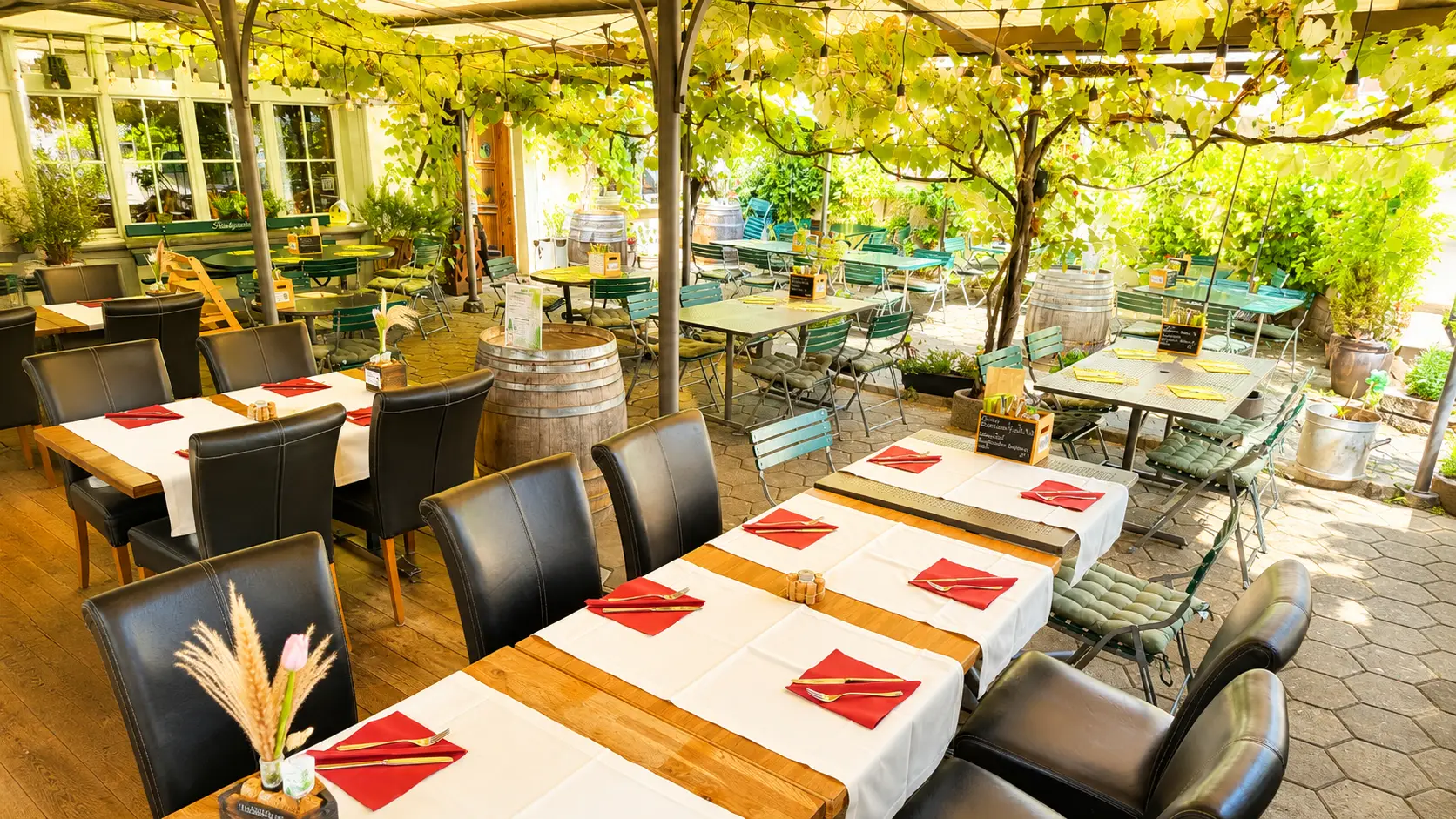 Gedeckte Tische unter der Weinlaub-Überdachung im Restaurant Stadtgarten Wangen an der Aare